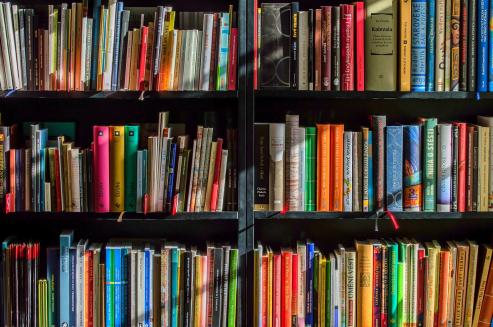 Bild zu Stadtbibliothek Grlitz zelebriert den Tag der Bibliotheken mit vielfltigem Programm
