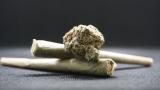 Bild zu Medizinisches Cannabis vs. CBD-l: Was sind die Unterschiede?