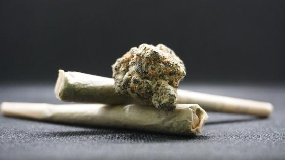 Bild zu Medizinisches Cannabis vs. CBD-l: Was sind die Unterschiede?
