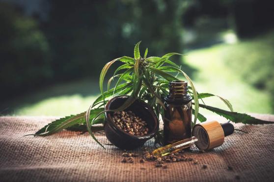Bild zu Cannabisblten kaufen: Dieses Plus fr die Gesundheit bringen Cannabisblten mit