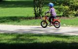 Bild zu Fahrradtourismus am Oder-Neie-Radweg: Die Stimme der Radler zhlt