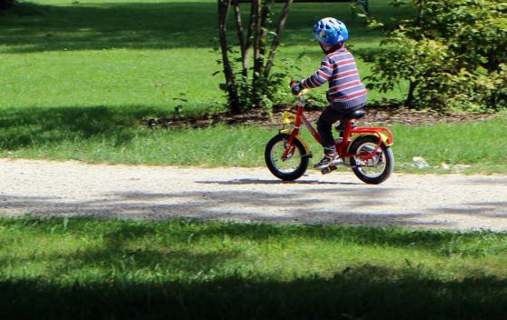 Bild zu Fahrradtourismus am Oder-Neie-Radweg: Die Stimme der Radler zhlt