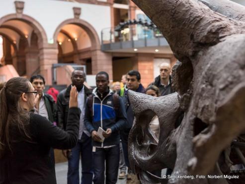 Bild zu Senckenberg: Flchtlinge Eintritt frei!