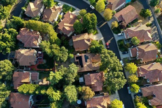 Bild zu Nachhaltiges Design: Wie Sie Ihr Zuhause umweltfreundlich und modern gestalten knnen