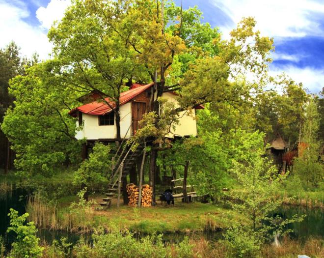 Bild zu Einladung an die Neugier