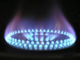 Bild zu Stadtwerke Grlitz starten Inspektion der Gas-Hausanschlsse