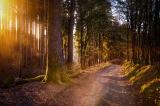 Bild zu Perfekte Vorbereitung fr eine Wanderung in der Oberlausitz