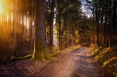 Bild zu Perfekte Vorbereitung fr eine Wanderung in der Oberlausitz