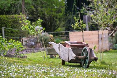 Bild zu Zwischen Frost und Fr�hstart: Jetzt den Garten planen