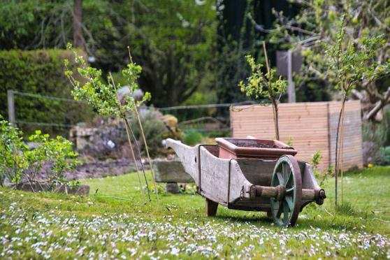 Bild zu Zwischen Frost und Fr�hstart: Jetzt den Garten planen