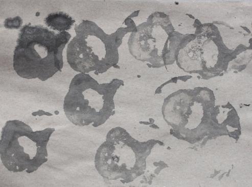 Bild zu "geo-sounds" Film von Grlitzer Auffhrung