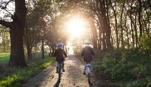 Bild zu Aktiv im Alltag: Radfahren in Grlitz und der Umgebung