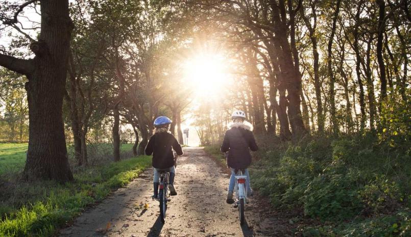 Bild zu Aktiv im Alltag: Radfahren in Grlitz und der Umgebung