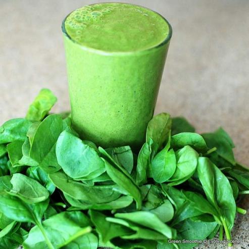 Bild zu Wellness-Trend: Green Smoothie  lecker und gesund