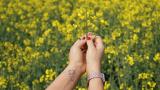 Bild zu Smartwatches Armbnder: Der ultimative Guide fr den perfekten Look