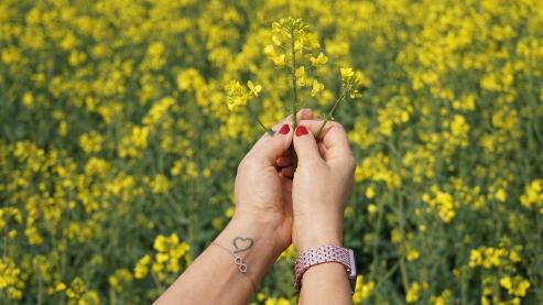 Bild zu Smartwatches Armbnder: Der ultimative Guide fr den perfekten Look