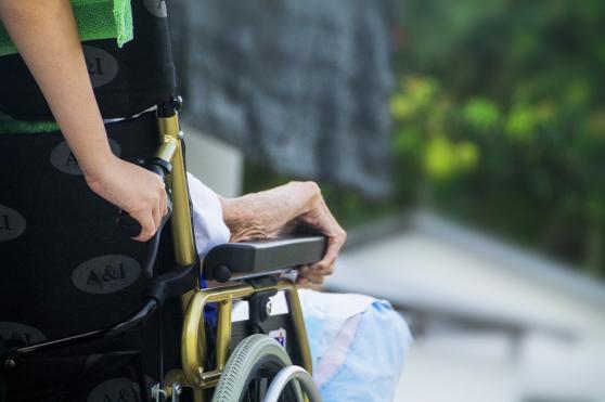 Bild zu Pflegekraft in Sachsen: Reisen und Arbeit vereinen