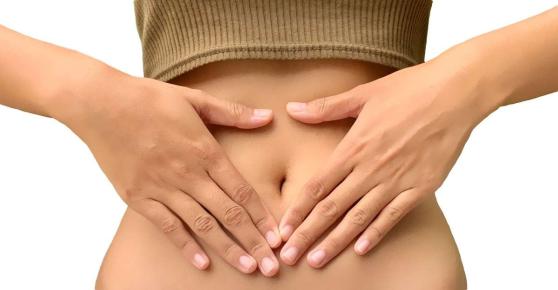 Bild zu Die Kraft des Mikrobioms: Was Bitterstoffe und Probiotika für deine Darmgesundheit tun können