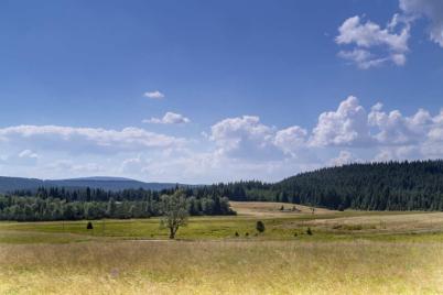 Bild zu Den Sommer spontan gestalten: Diese Ausflugsziele rund um G�rlitz bieten sich an