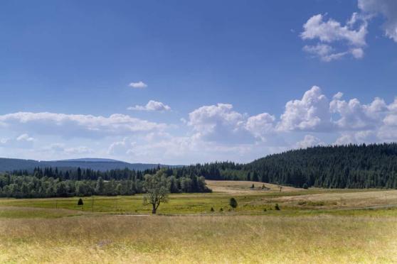 Bild zu Den Sommer spontan gestalten: Diese Ausflugsziele rund um G�rlitz bieten sich an