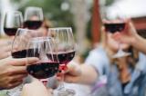 Bild zu Weinliebe und Tradition in Grlitz  Vom historischen Erbe bis zu gesundheitlichen Vorzgen