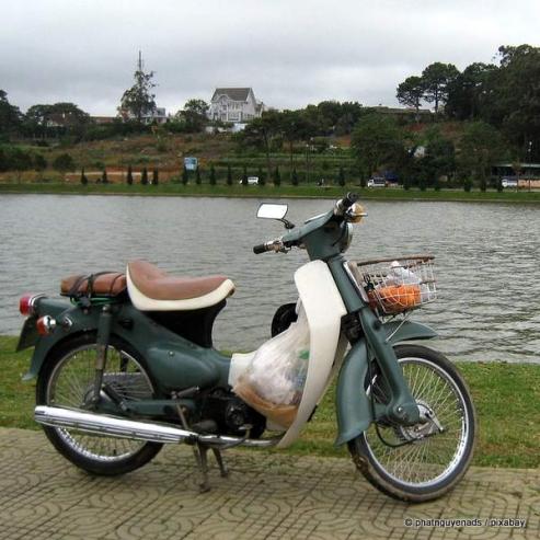 Bild zu Moped ab 15: Im Landkreis Grlitz 62 bestandene Prfungen 