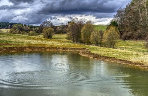 Bild zu Trittsteine der Natur: Fachtagung in St. Marienthal