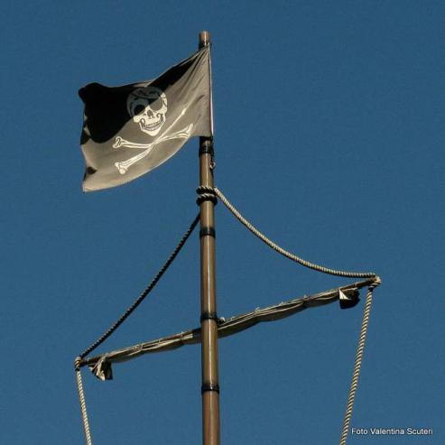 Bild zu Landesparteitag der PIRATEN in Grlitz