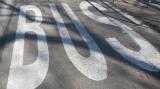 Bild zu Aktualisierung im Grlitzer Nahverkehr: Linie A bleibt auf gewohnter Route