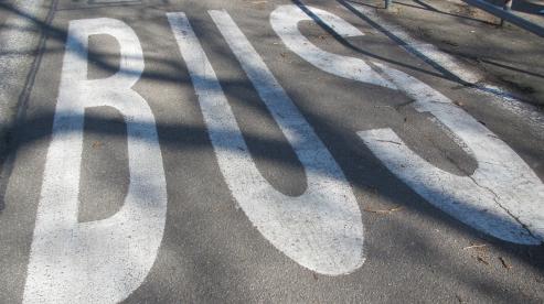 Bild zu Aktualisierung im Grlitzer Nahverkehr: Linie A bleibt auf gewohnter Route