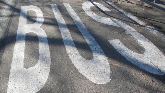 Bild zu Aktualisierung im Grlitzer Nahverkehr: Linie A bleibt auf gewohnter Route