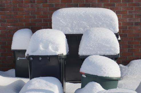 Bild zu Winterfeste Abfallentsorgung: Tipps vom Landkreis Grlitz