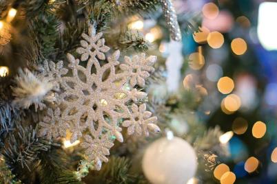 Bild zu Stadtwerke Grlitz starten erneut Weihnachtsaktion fr Herzensprojekte