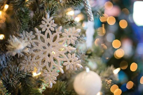 Bild zu Stadtwerke Grlitz starten erneut Weihnachtsaktion fr Herzensprojekte