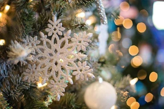 Bild zu Stadtwerke Grlitz starten erneut Weihnachtsaktion fr Herzensprojekte