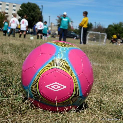Bild zu Zittau baut Soccergolf-Anlage