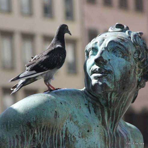 Bild zu Friedhofsgeflster: Auch Sterben ist Leben