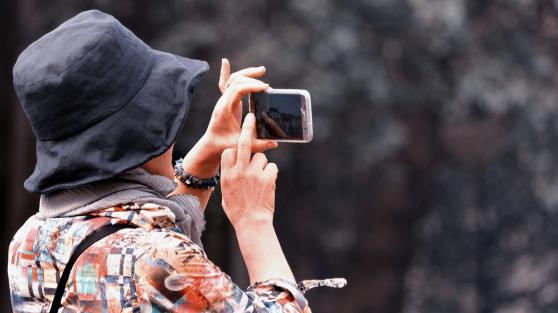 Bild zu Sachsen verzeichnet Rekordtourismusjahr 2023