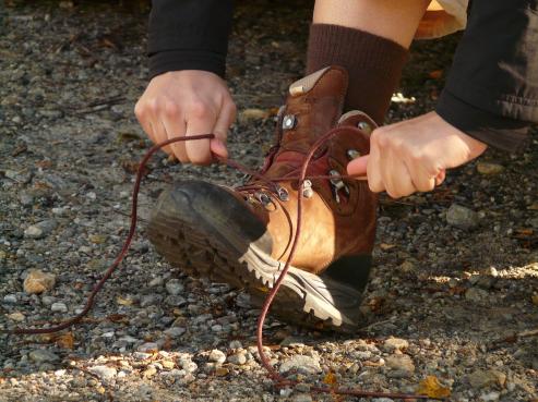 Bild zu Der Schsische Wandertag: Auf der Suche nach neuen Austragungsorten
