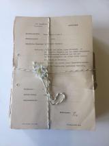 Bild zu Knstlerin sucht nach DDR-Arbeitern aus der Oberlausitz in Tansania