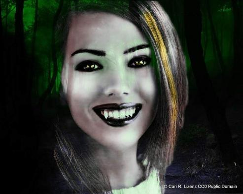 Bild zu Blutspende: 7. Nacht der Vampire in Grlitz