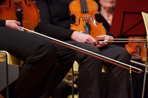 Bild zu Neue Lausitzer Philharmonie ldt zum Neujahrskonzert 2025 ein