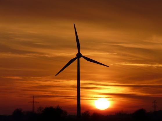 Bild zu Windkraft in Deutschland wchst, Sachsen bleibt zurck
