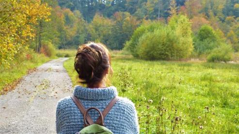 Bild zu Herbstzauber in Grlitz: So sind Familien zwischen Altstadt und See unterwegs